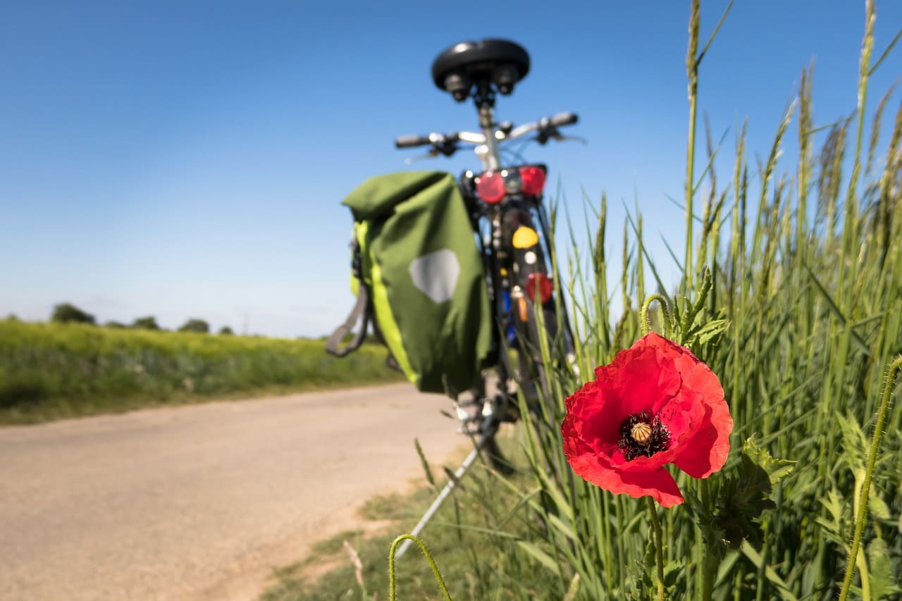 Wichtige Tipps zur Fahrradpflege im Sommer